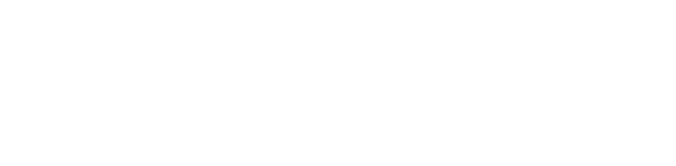 PARAMOUNT 360 TECH LIMITED logo